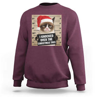 Funny Cat Mugshot Christmas Sweatshirt I Will Protect You Kitten No Matter What - Wonder Print Shop