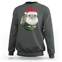 Watermelon Cat Christmas Sweatshirt Funny Silly Kitten Meme - Wonder Print Shop