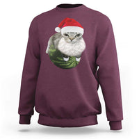 Watermelon Cat Christmas Sweatshirt Funny Silly Kitten Meme - Wonder Print Shop