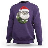Watermelon Cat Christmas Sweatshirt Funny Silly Kitten Meme - Wonder Print Shop