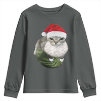 Watermelon Cat Christmas Youth Sweatshirt Funny Silly Kitten Meme - Wonder Print Shop