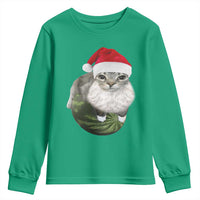 Watermelon Cat Christmas Youth Sweatshirt Funny Silly Kitten Meme - Wonder Print Shop