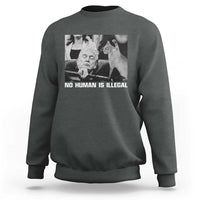 No Human Is Illegal Sweatshirt Funny Cat Anti ICE Meme