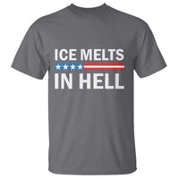 Ice Melts In Hell T Shirt Activist Statement Quote