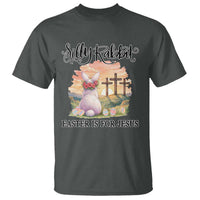 Silly Rabbit Easter Is For Jesus T Shirt Christian Easter