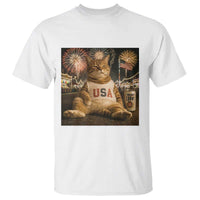 USA 250th Anniversary Statue of Liberty T Shirt The Summer USA Turned 250