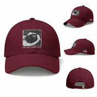 Do Not Perceive Me Funny Meme Cat Lover Baseball Cap Funny Cat Sarcstic Meme