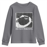 Do Not Perceive Me Funny Meme Cat Lover Youth Sweatshirt Funny Cat Sarcstic Meme