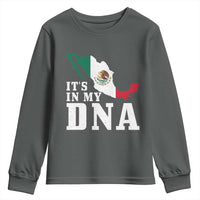 It's in My DNA Mexican Proud Hispanic Gift Mexico Flag Youth Sweatshirt