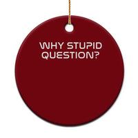 Why Stupid Question Ceramic Ornament Funny Space Quote Sci Fi Book