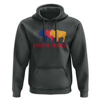 Choctaw Native American Chahta Tushka Hoodie