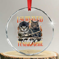 Tummy Ache Survivor Cat Meme Crystal Glass Ornament Funny Saying Cats Bootleg TS10