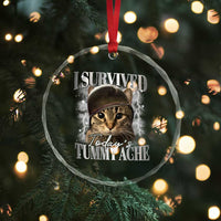 Tummy Ache Survivor Cat Meme Crystal Glass Ornament Funny Saying Cats Cat Bootleg TS10