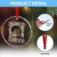 Tummy Ache Survivor Cat Meme Crystal Glass Ornament Funny Saying Cats Cat Bootleg TS10