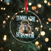 Tummy Ache Survivor Crystal Glass Ornament Funny Capybara Meme For Animal Lover - Wonder Print Shop