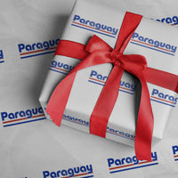 Vintage Paraguay Flag Wrapping Paper Roll Retro Stripe Patriotic Paraguayan Pride Graphic
