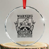Vintage Raccoon 13th Birthday Crystal Glass Ornament 13 Year Old Official Teenager Gifts
