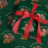 Viral Punch Monkey Wrapping Paper Roll Cute Baby Monkey With Plush Toy Animal Lovers