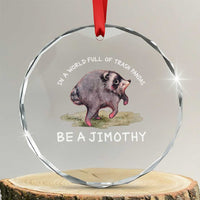 Watercolor Jimothy the Raccoon Crystal Glass Ornament In A World Full Of Trash Pandas Be A Jimothy