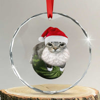 Watermelon Cat Christmas Crystal Glass Ornament Funny Silly Kitten Meme TS14
