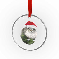 Watermelon Cat Christmas Crystal Glass Ornament Funny Silly Kitten Meme TS14