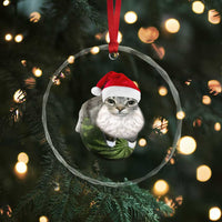 Watermelon Cat Christmas Crystal Glass Ornament Funny Silly Kitten Meme TS14