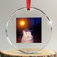 Wizard Cat Crystal Glass Ornament Weird Funny Retro Halloween Orange Cat Meme TS10