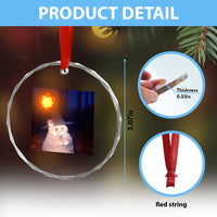 Wizard Cat Crystal Glass Ornament Weird Funny Retro Halloween Orange Cat Meme TS10