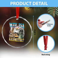 WTF is A Kilometer Crystal Glass Ornament Funny USA Patriotic Bootleg Meme