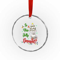 Xmas Cat Crystal Glass Ornament Is This Jolly Enough TS09