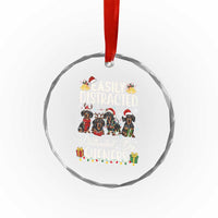 Xmas Dachshund Crystal Glass Ornament Funny Easily Distracted By Wieners TS12