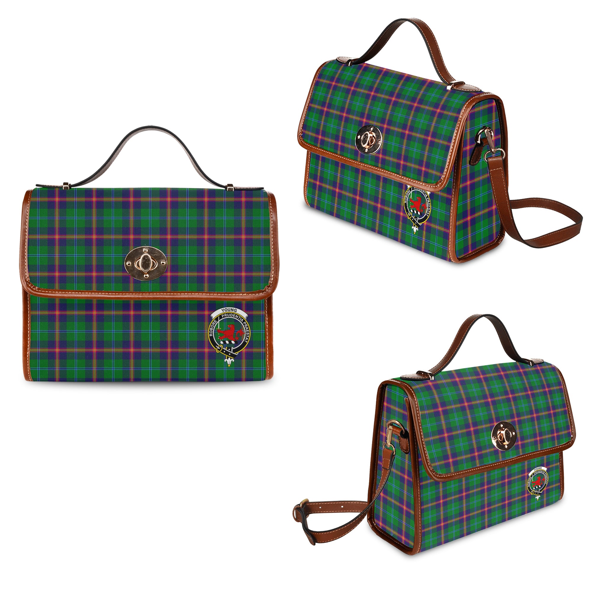 young-modern-family-crest-tartan-canvas-bag-with-leather-shoulder-strap