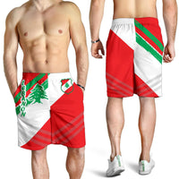 lebanon-mens-shorts-lebanon-flag-polygon-style24