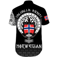 viking-shorts-sleeve-shirt-norwegian-drakkar