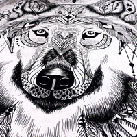 Tribal Wolf Dreamcatcher Native American Bedding Set LT10 - Wonder Print Shop