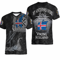 Viking Clothing Viking Iceland Drakkar V neck T shirt RLT12 - Wonder Print Shop