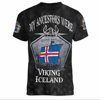 Viking Clothing Viking Iceland Drakkar V neck T shirt RLT12 - Wonder Print Shop