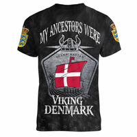 Viking Clothing Viking Denmark Drakkar V neck T shirt RLT12 - Wonder Print Shop