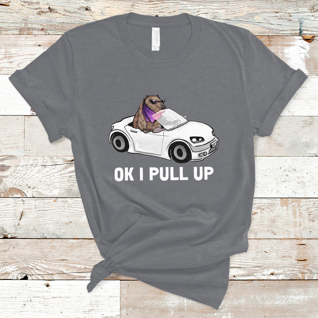 Funny Ok I Pull Up Meme Cool Capybara Driving Car T Shirt - Wonder Print Shop