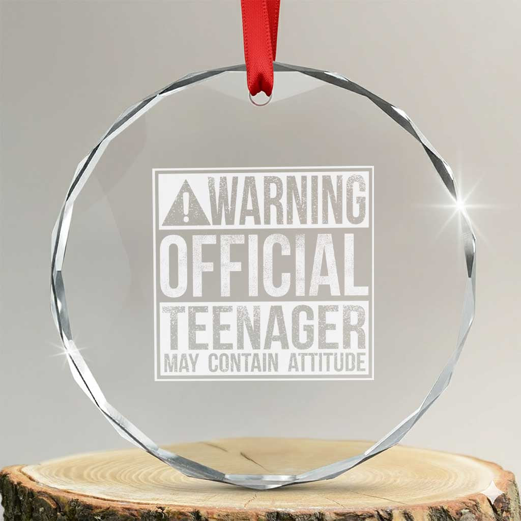 13th Birthday Crystal Glass Ornament Warning Official Teenager Boy 13yr