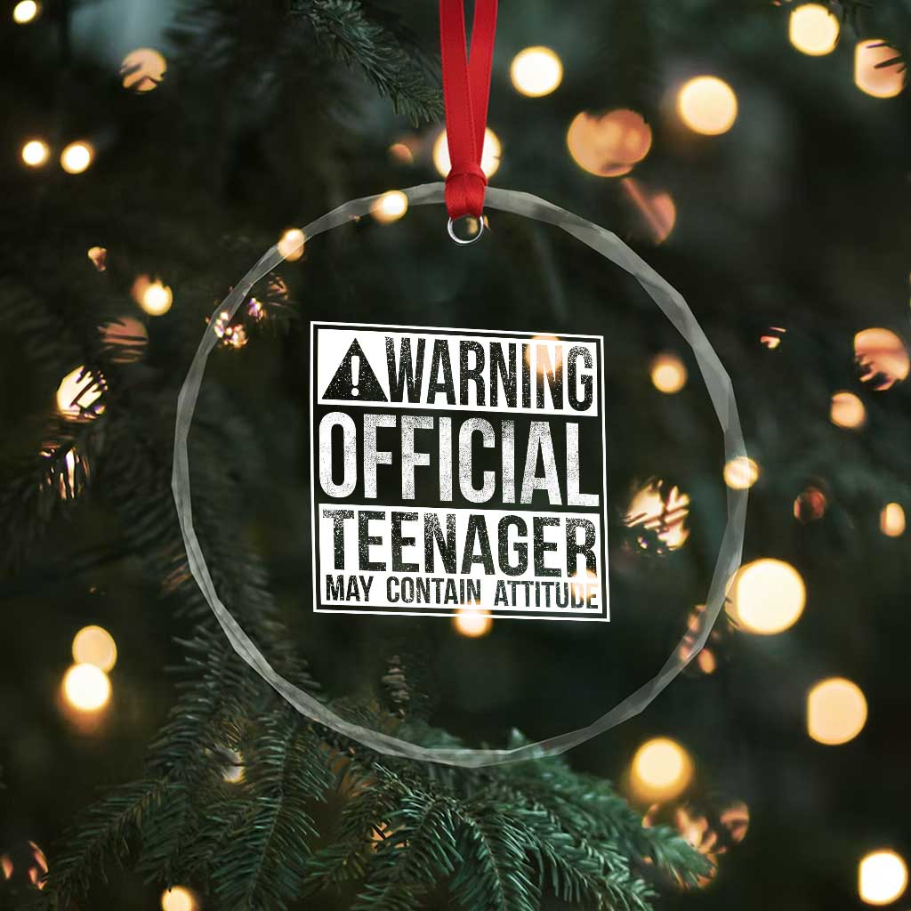 13th Birthday Crystal Glass Ornament Warning Official Teenager Boy 13yr