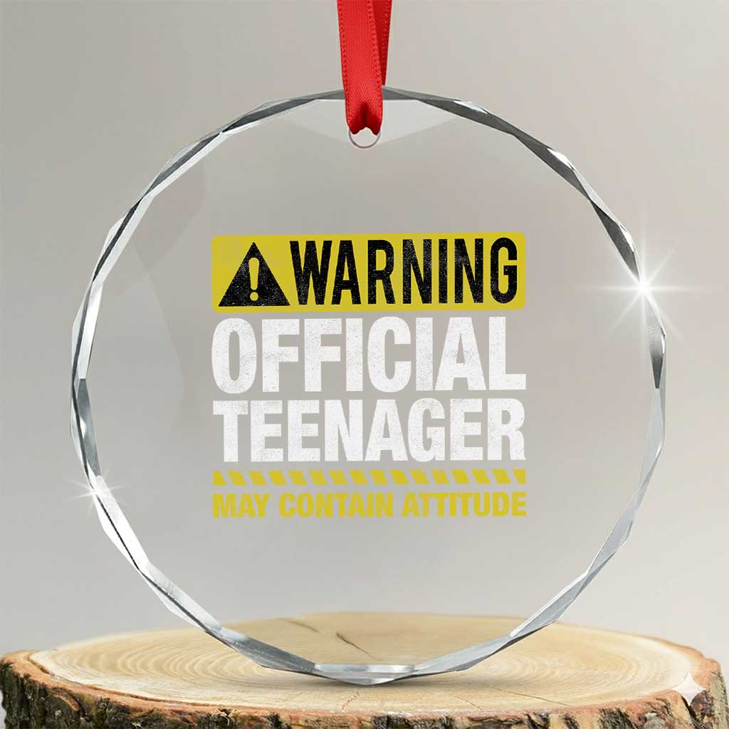 13th Birthday Crystal Glass Ornament Warning Official Teenager May Contain Attitude Funny 13 Years Old