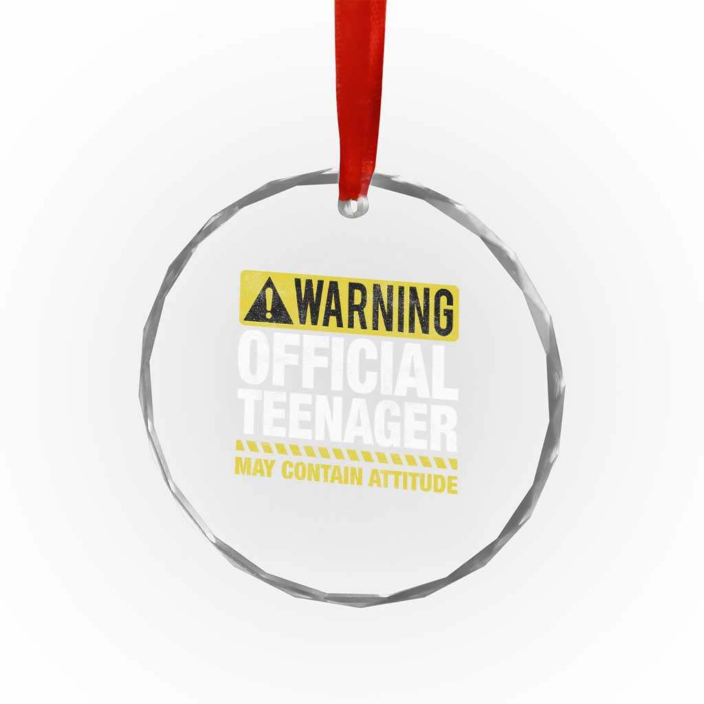 13th Birthday Crystal Glass Ornament Warning Official Teenager May Contain Attitude Funny 13 Years Old