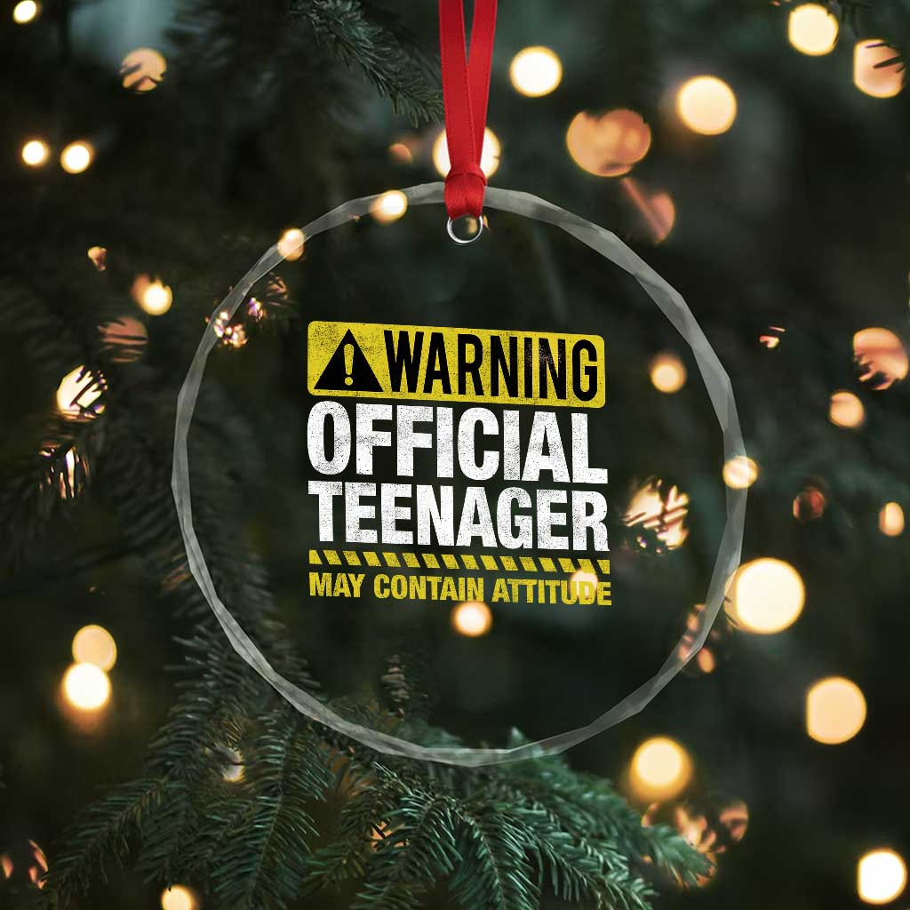 13th Birthday Crystal Glass Ornament Warning Official Teenager May Contain Attitude Funny 13 Years Old