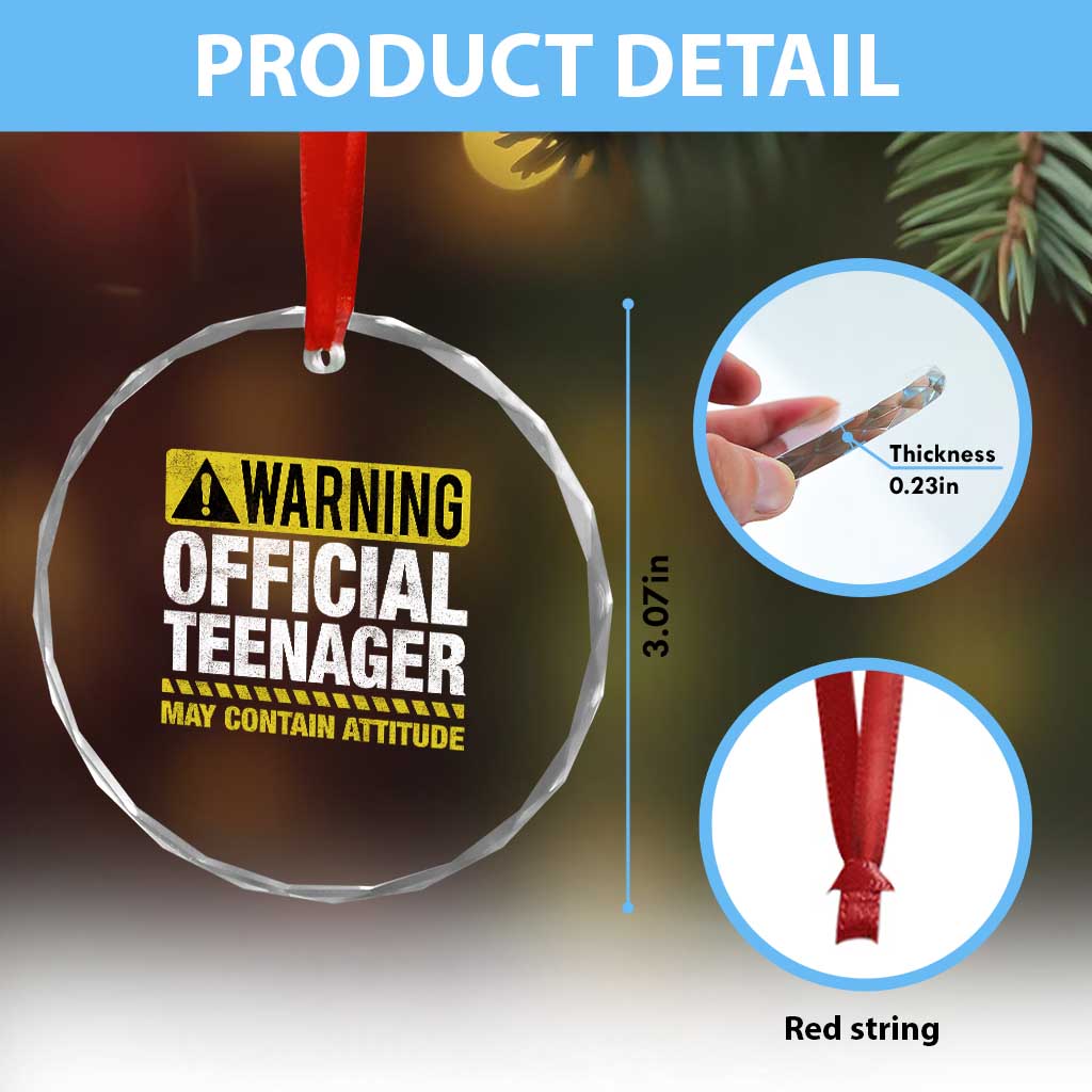 13th Birthday Crystal Glass Ornament Warning Official Teenager May Contain Attitude Funny 13 Years Old