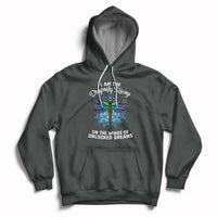 Dark gray pullover hoodie with dragonfly graphic and “On the wings of unlocked dreams” text