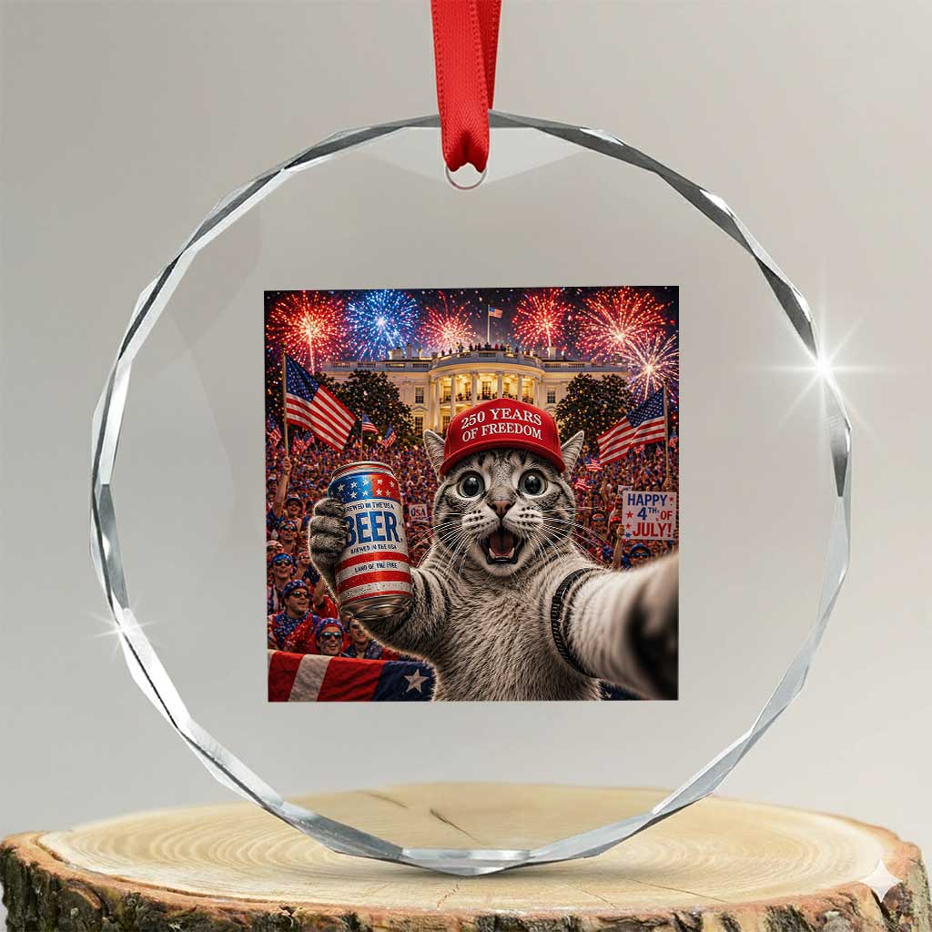 250 Years Of Freedom Crystal Glass Ornament Funny Cat Selfie 4th of July Party