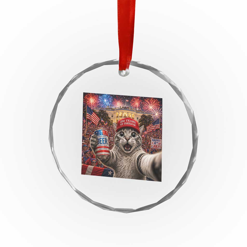 250 Years Of Freedom Crystal Glass Ornament Funny Cat Selfie 4th of July Party