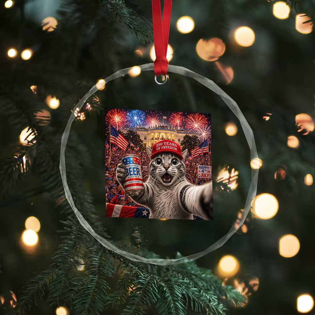 250 Years Of Freedom Crystal Glass Ornament Funny Cat Selfie 4th of July Party