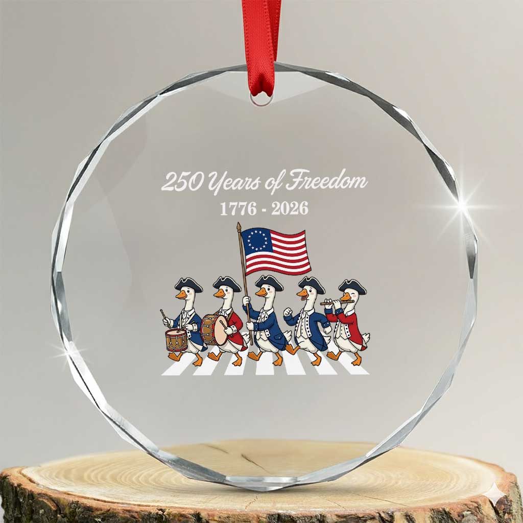 250 Years Of Freedom Crystal Glass Ornament Silly Goose Patriotic 4th of July